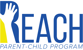 REACH認證法規常見問題